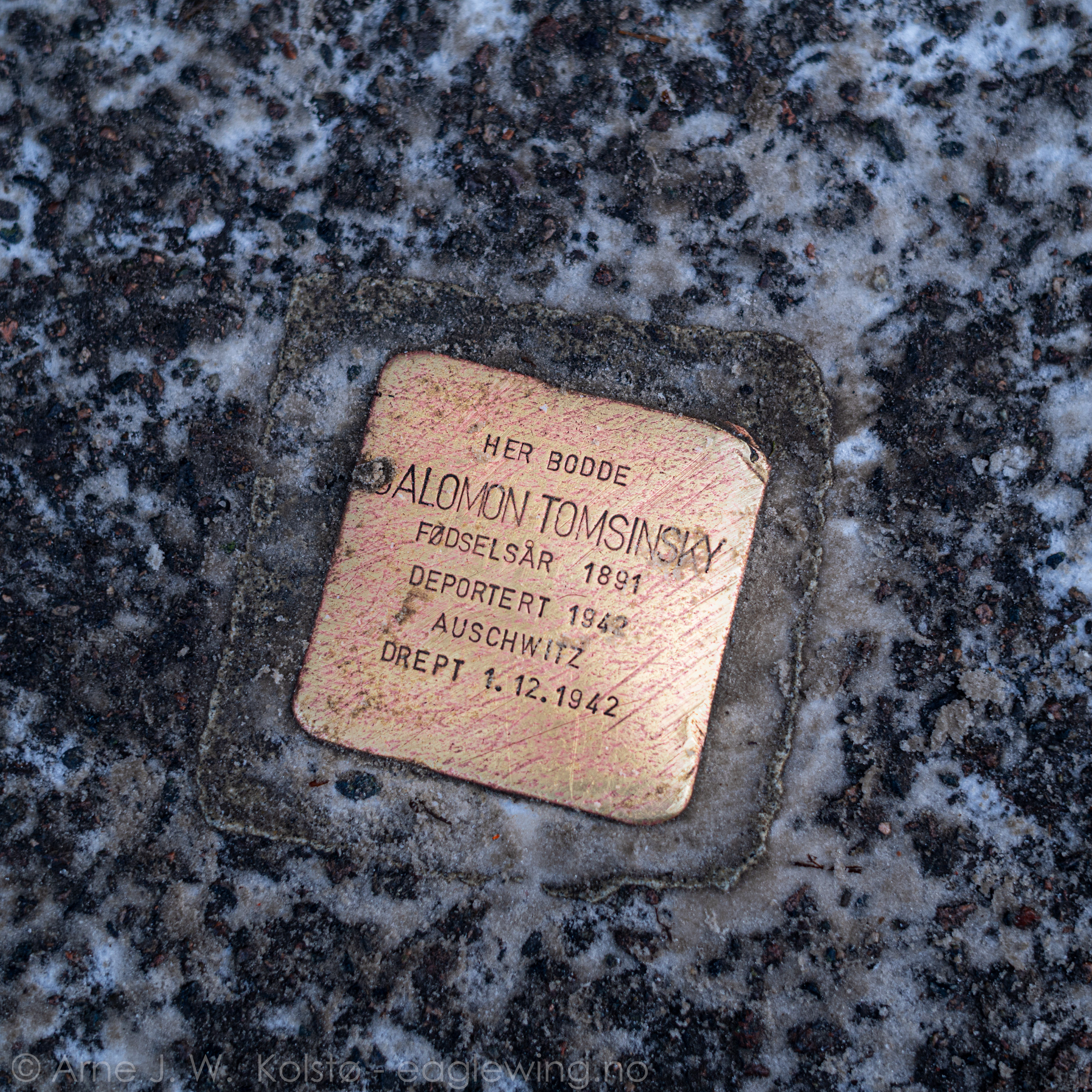  Stumbling stone for one of the Holocaust victims from Oslo - Denegrading groups made it  easier to regard the humans as less valuable... 