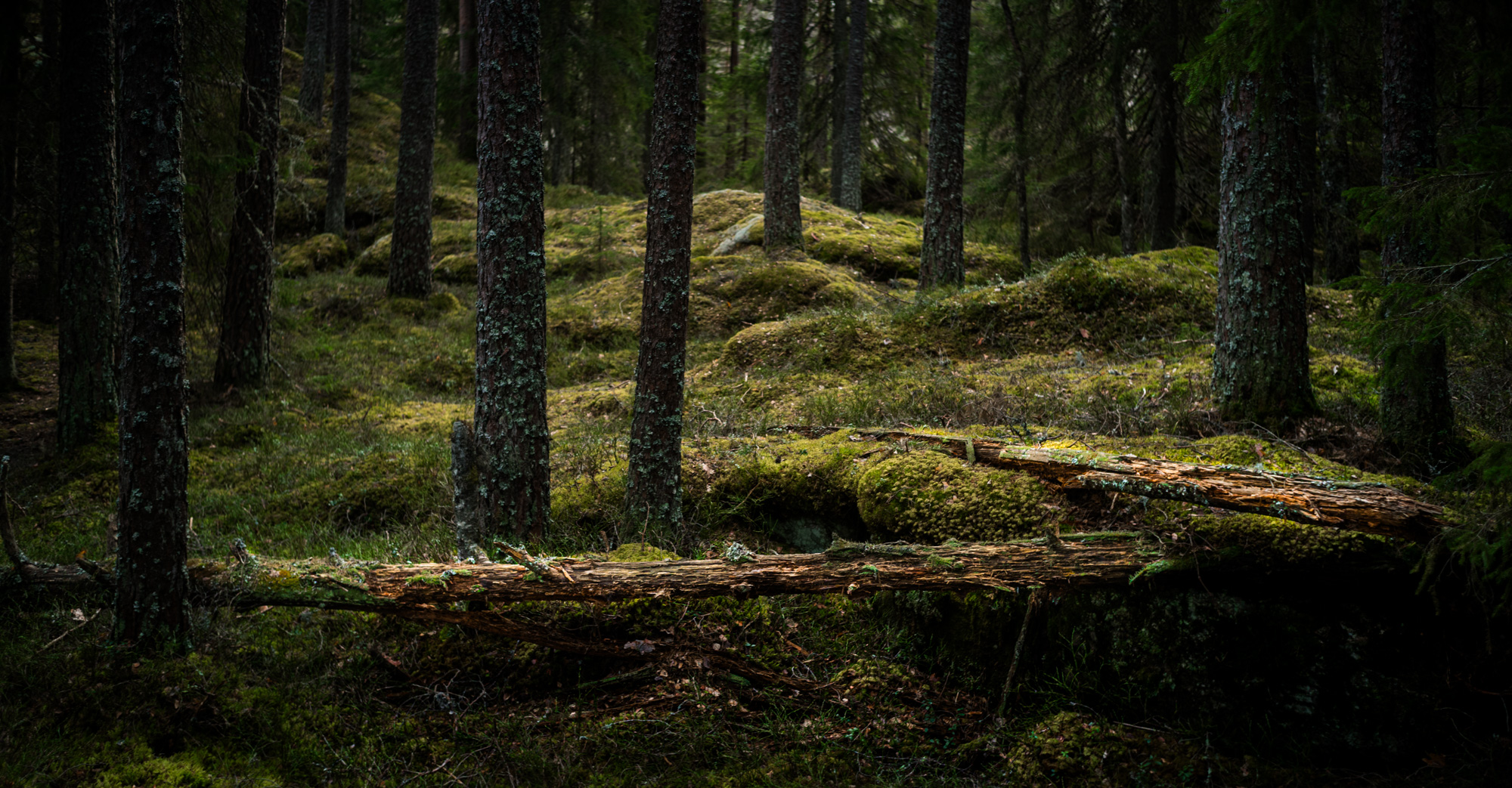   - Dølerudåsen 